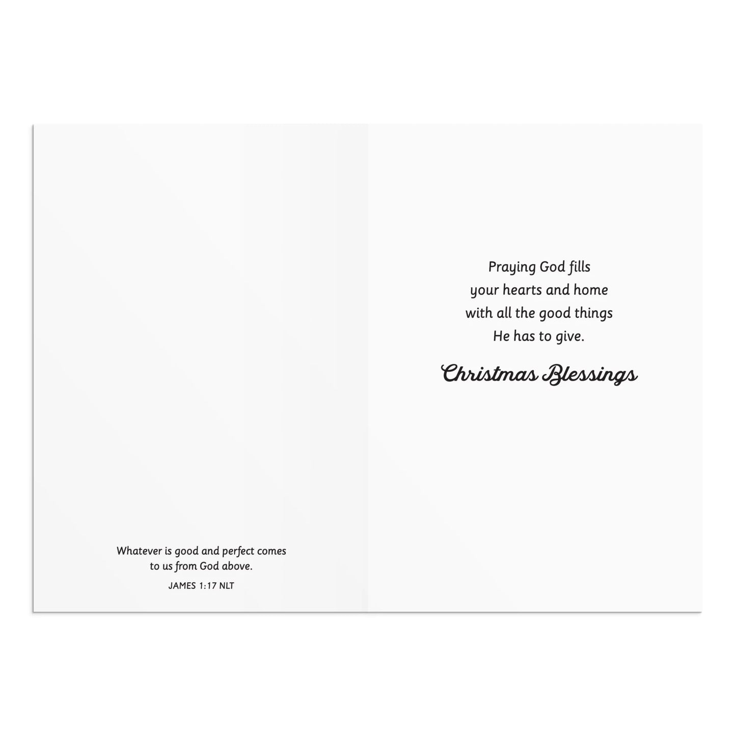 2024-DaySpring 18 Inspirational Christmas Greeting Cards, Black & White with Red Cardinal , Outdoor Photography , NLT scripture