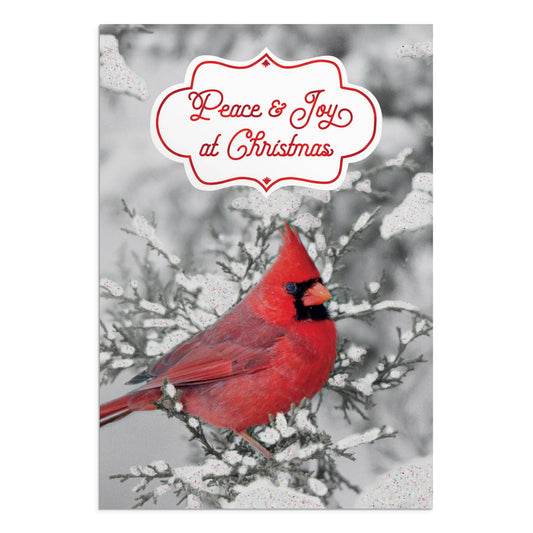 2024-DaySpring 18 Inspirational Christmas Greeting Cards, Black & White with Red Cardinal , Outdoor Photography , NLT scripture