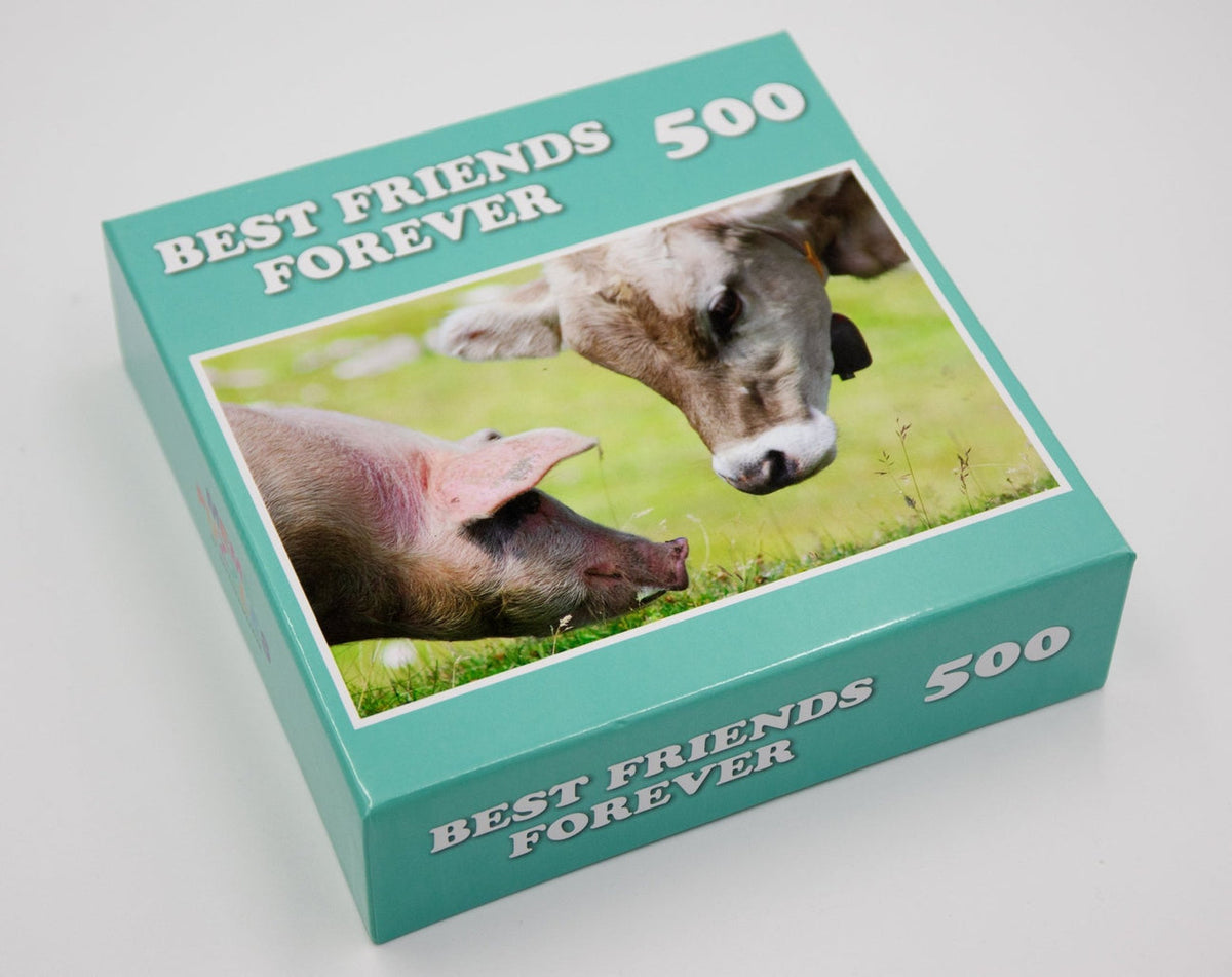 A 500-piece jigsaw puzzle box titled 'BEST FRIENDS FOREVER' featuring a photo of a pig and a cow on a green field. The box is a teal color with white text and is photographed on a light gray background.