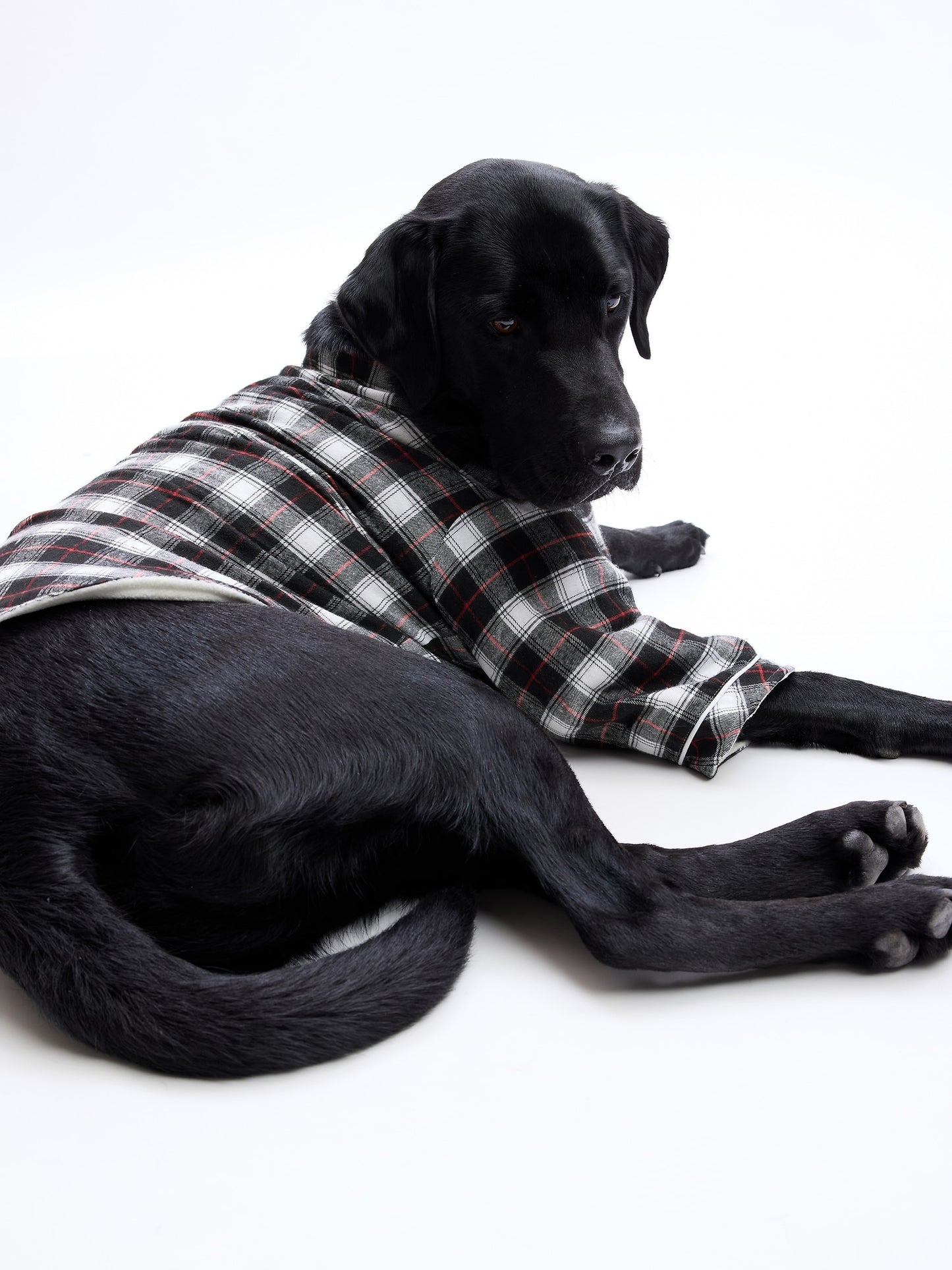 GAP Pet Pajamas