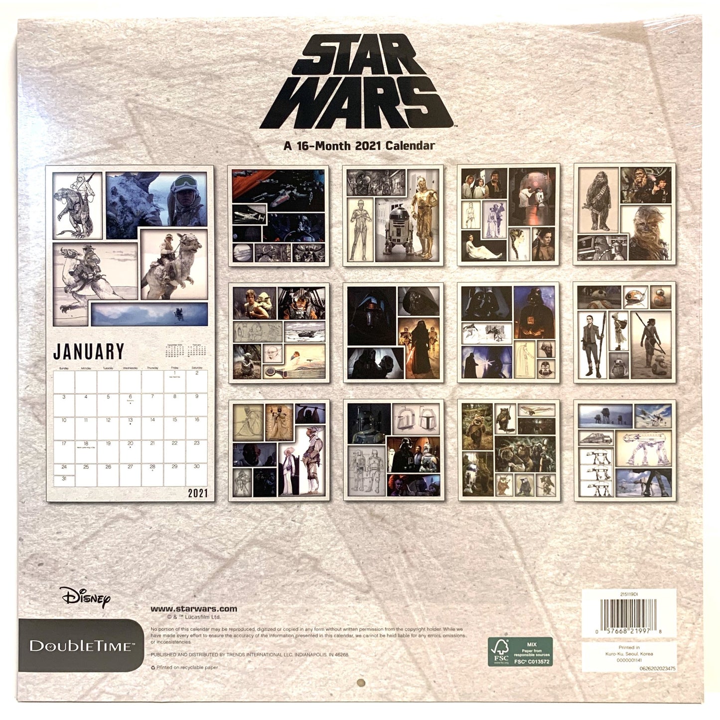 STAR WARS SAGA 12" x 24" 16 Month 2021 Wall Calendar