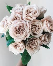 Rose - Florist Rose- Westminster Abbey