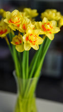 Load image into Gallery viewer, Daffodil - Sun Fluffle
