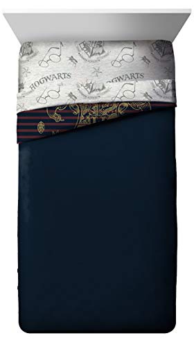 Jay Franco Spellbound Twin/Full Comforter (Offical Harry Potter Product), Multi