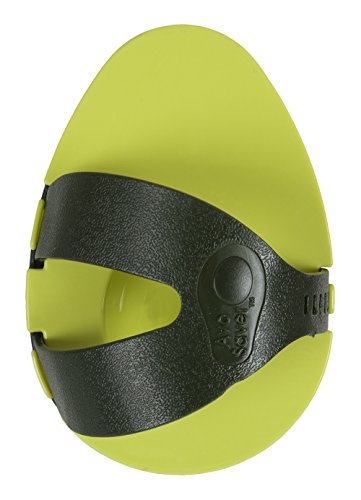 Evriholder Avo Saver,