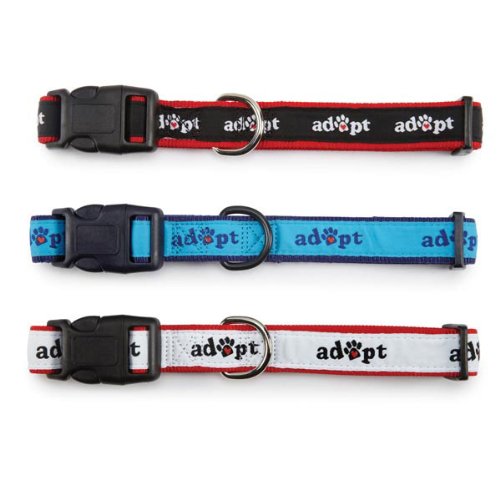 Casual Canine Nylon Adopt Dog Collar, 14-20-Inch, Blue