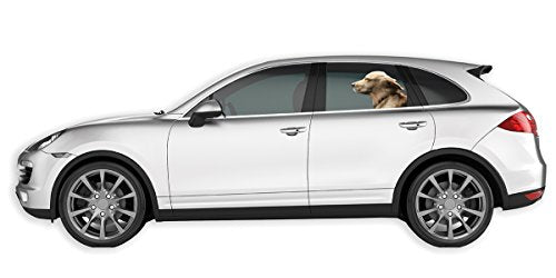 Colorbok Joy Riders Golden Retriever Window Cling