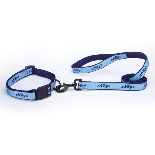 Casual Canine Nylon Adopt Dog Collar, 14-20-Inch, Blue