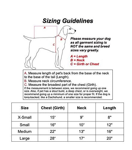 Zack & Zoey Happy Day Dog Halloween Costume