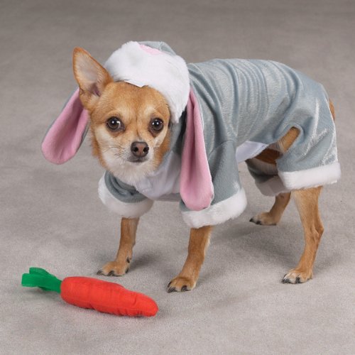 Zack & Zoey Polyester Bunny Rabbit Dog Costume, 24-Inch, X-Large