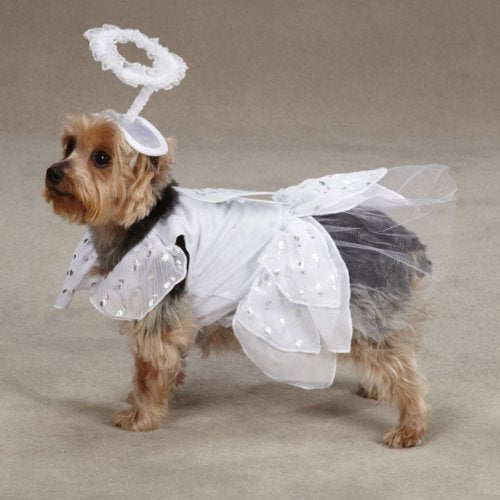 Casual Canine Angel Paws Dog Costume, X-Small, White - Realmdrop Shop