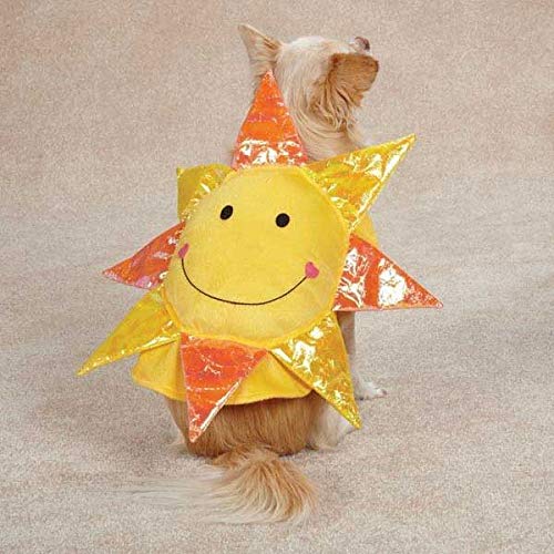Zack & Zoey Happy Day Dog Halloween Costume