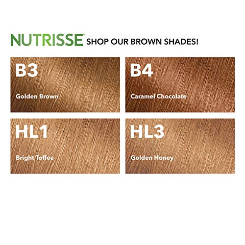 Garnier Nutrisse Ultra Color Nourishing Permanent Hair Color Cream, B3 Golden Brown (1 Kit) Brown Hair Dye (Packaging May Vary), Pack of 1