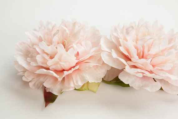 Begonia - Pale Pink