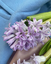 Load image into Gallery viewer, Fragrant Hyacinth - Lavender
