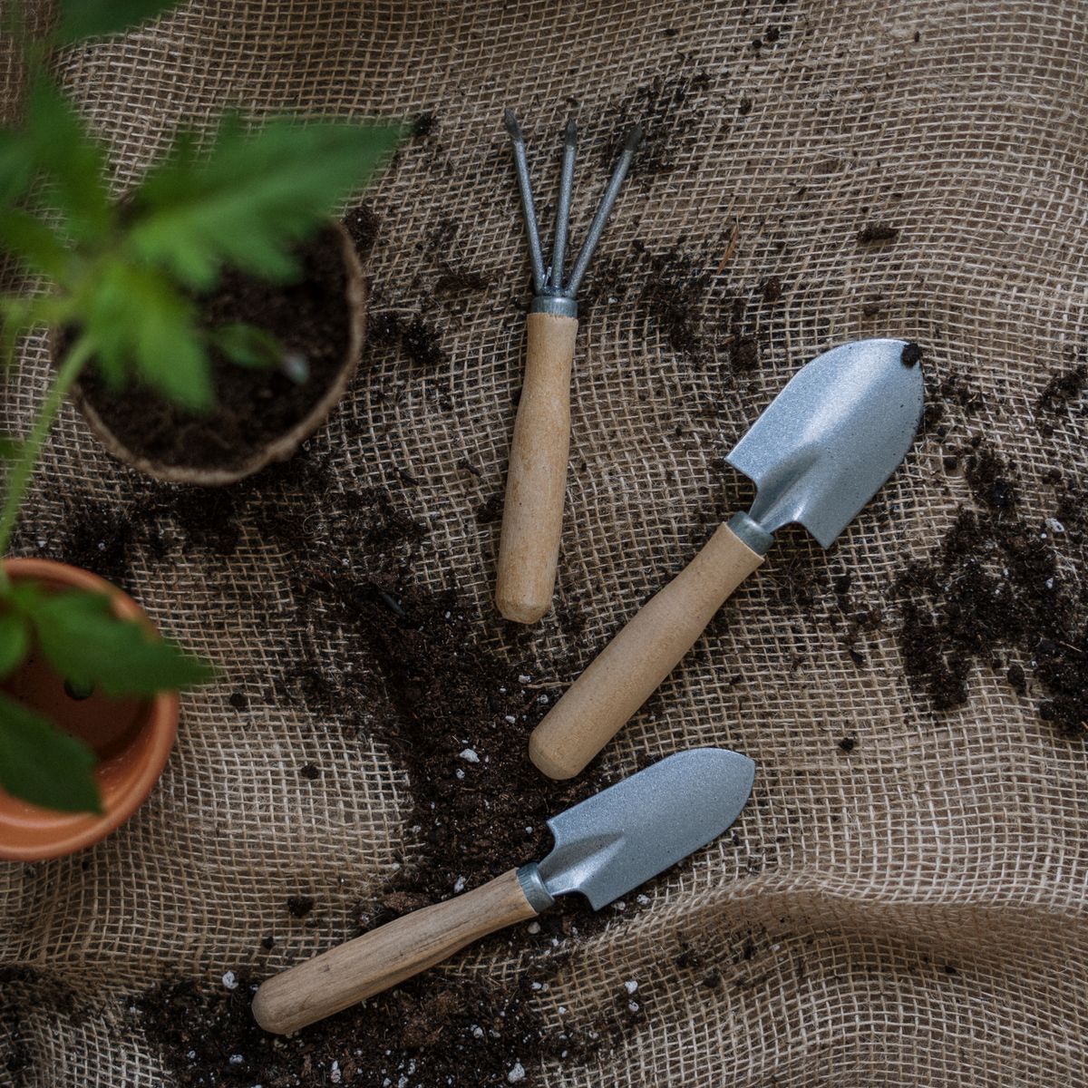 Garden trowels and a hand rake in soil