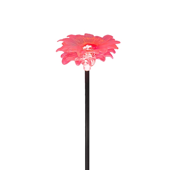 Pink glass daisy solar path light glowing on a black stake