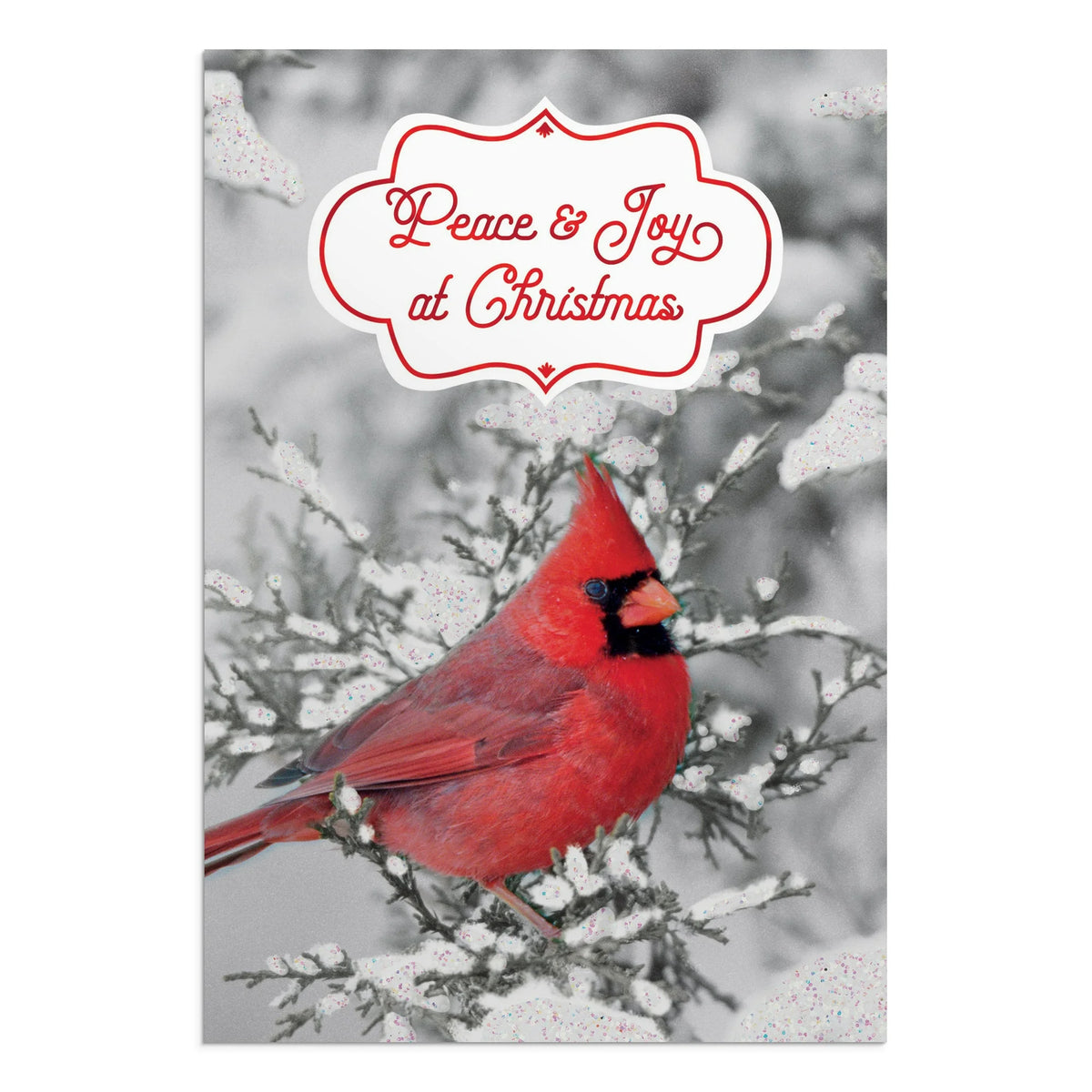 DaySpring Inspirational Christmas Cards, Red Cardinal, 18 Count