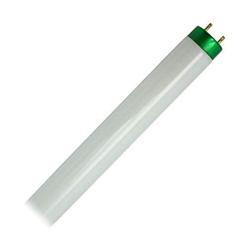 White 4 foot T8 fluorescent tube with a green end cap and two pins