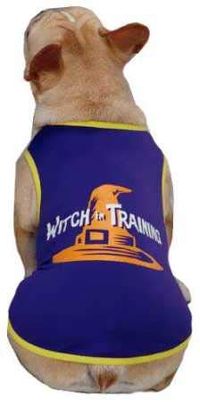 French bulldog in a purple tank tee with yellow trim and an orange witch hat print