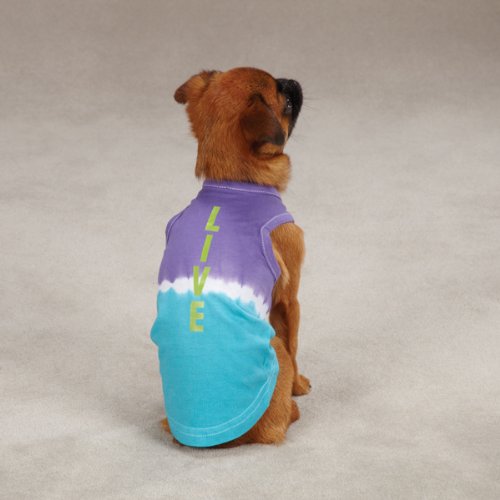 Small brown dog sitting on carpet in the purple and turquoise LIVE tie-dye tank