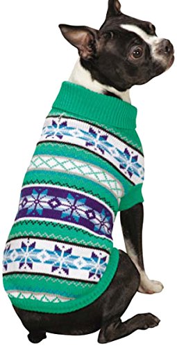 Boston terrier in a green Fair Isle sweater with blue and white snowflake bands