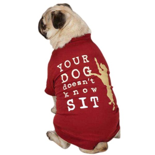 Pug in a red dog tee reading Your Dog Doesn't Know Sit with a jumping dog graphic