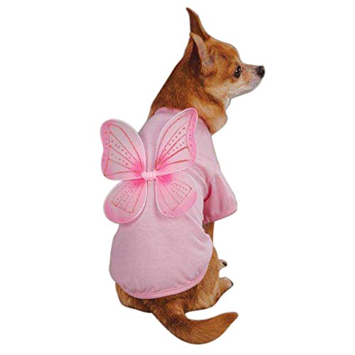 Chihuahua in a pink dog tee with sheer pink glitter fairy wings on the back