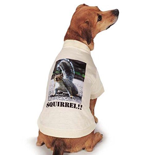 Dog in a cream tee printed with a realistic grey squirrel and SQUIRREL!! text