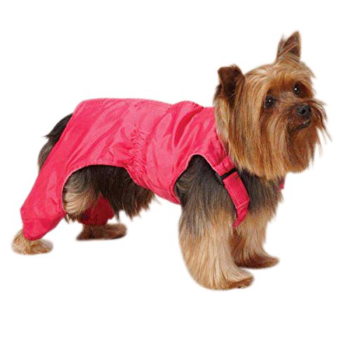 Yorkshire terrier in raspberry nylon snow bib overalls with leg sleeves