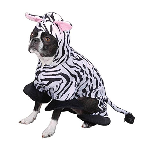 Black and white dog in a zebra stripe hooded costume with pink ears and tail