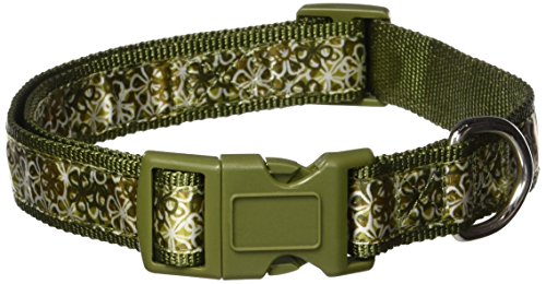 Green floral dog collar buckled into a loop with a silver D-ring