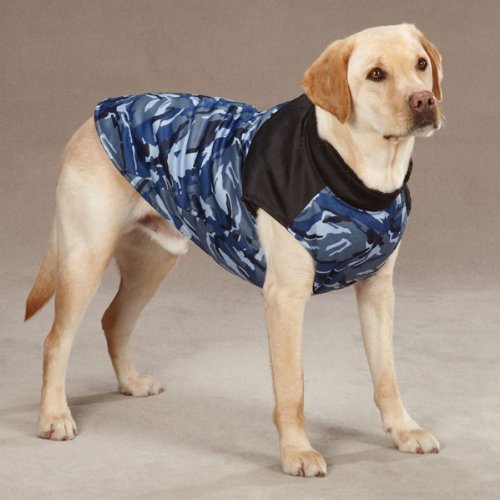 Yellow Labrador standing in the blue camo dog vest, side view
