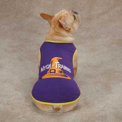 French bulldog in a purple tee with yellow trim reading Witch in Training under an orange witch hat