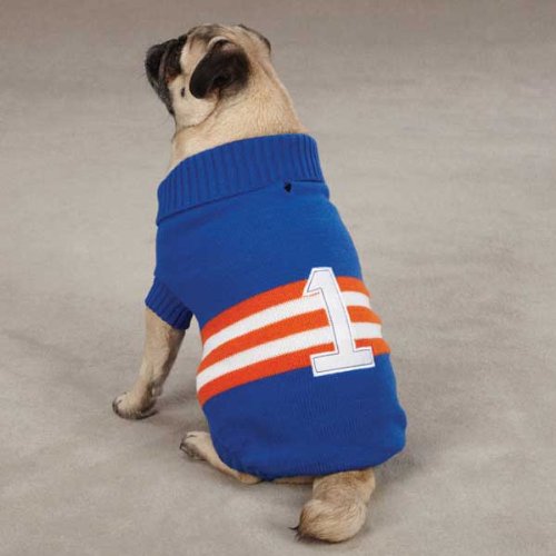 Pug wearing a blue knit turtleneck sweater with orange and white stripes and a number 1