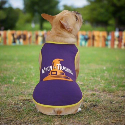 French bulldog sitting on grass in a purple Witch in Training tee, seen from behind