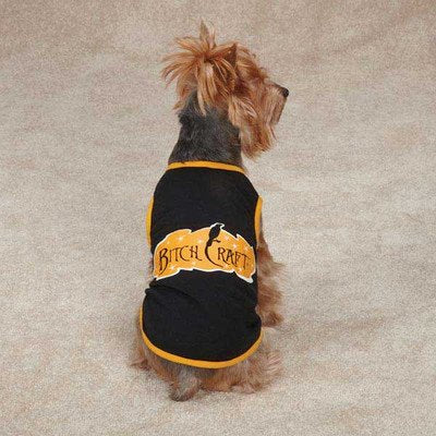 Small terrier in a black dog tee with orange trim and an orange witch-craft slogan banner