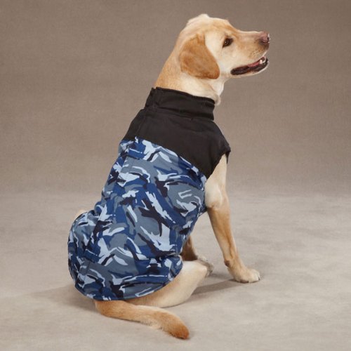 Yellow Labrador sitting in the blue camo vest with black collar