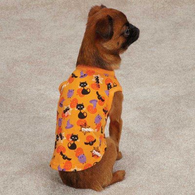 Small dog in an orange tank printed with black cats, pumpkins, witch hats and spiderwebs