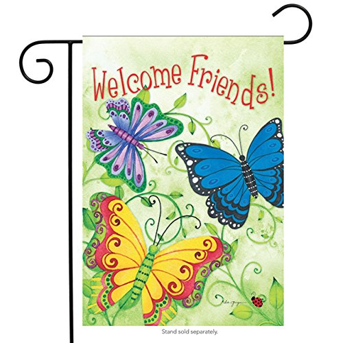 Rain or Shine Butterfly Welcome Friends Spring Garden Flag, 12.5" x 18"