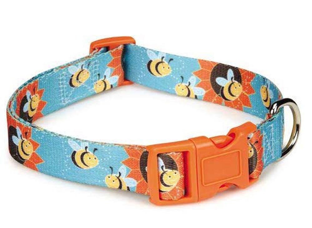 Sky blue dog collar printed with smiling bees and orange flowers, orange buckle