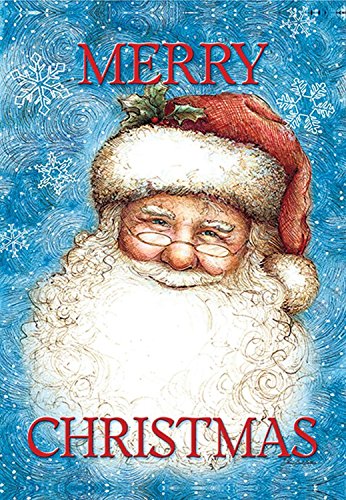 Flat view of the Merry Christmas Santa flag with snowflakes
