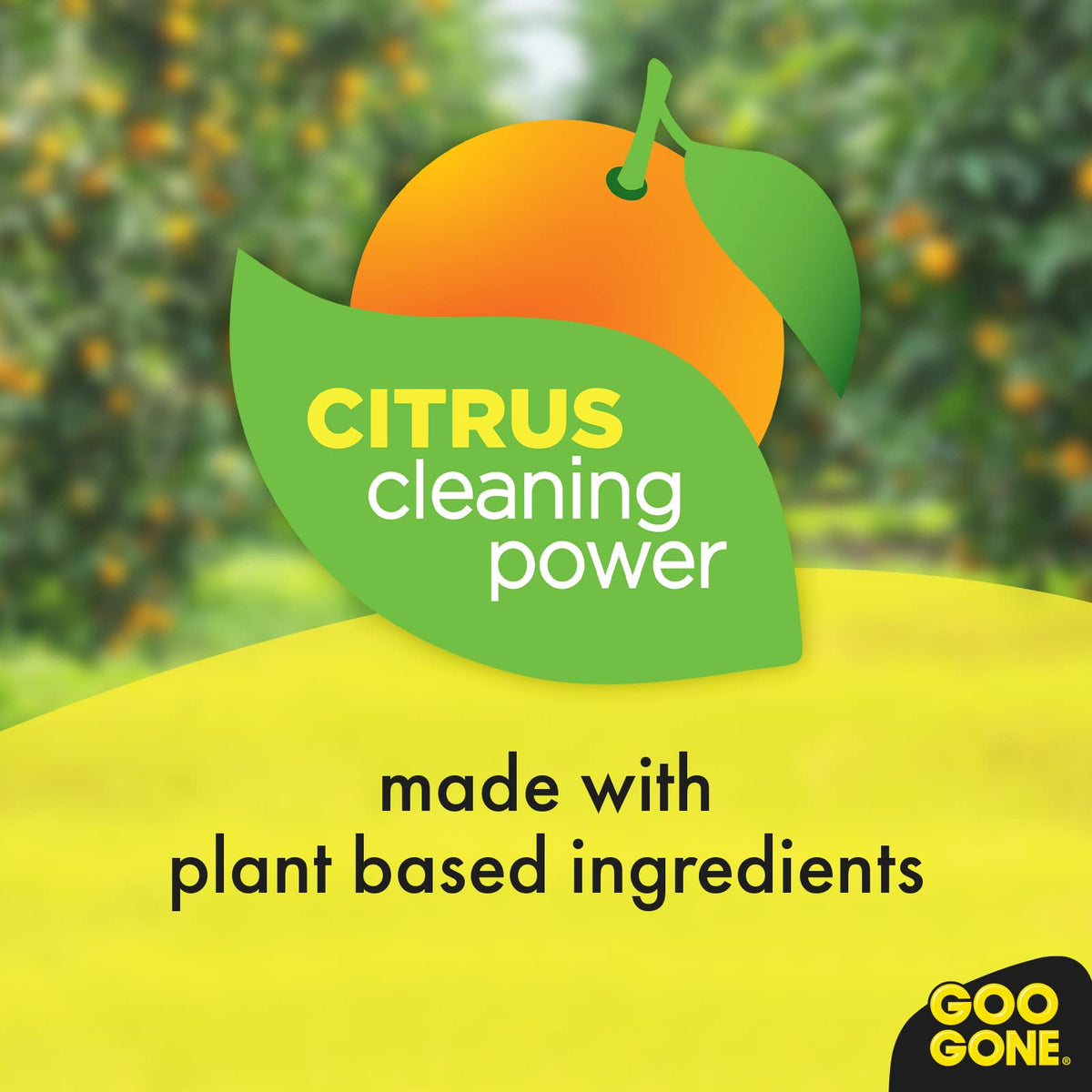 Orange and green leaf graphic saying citrus cleaning power over an orange grove