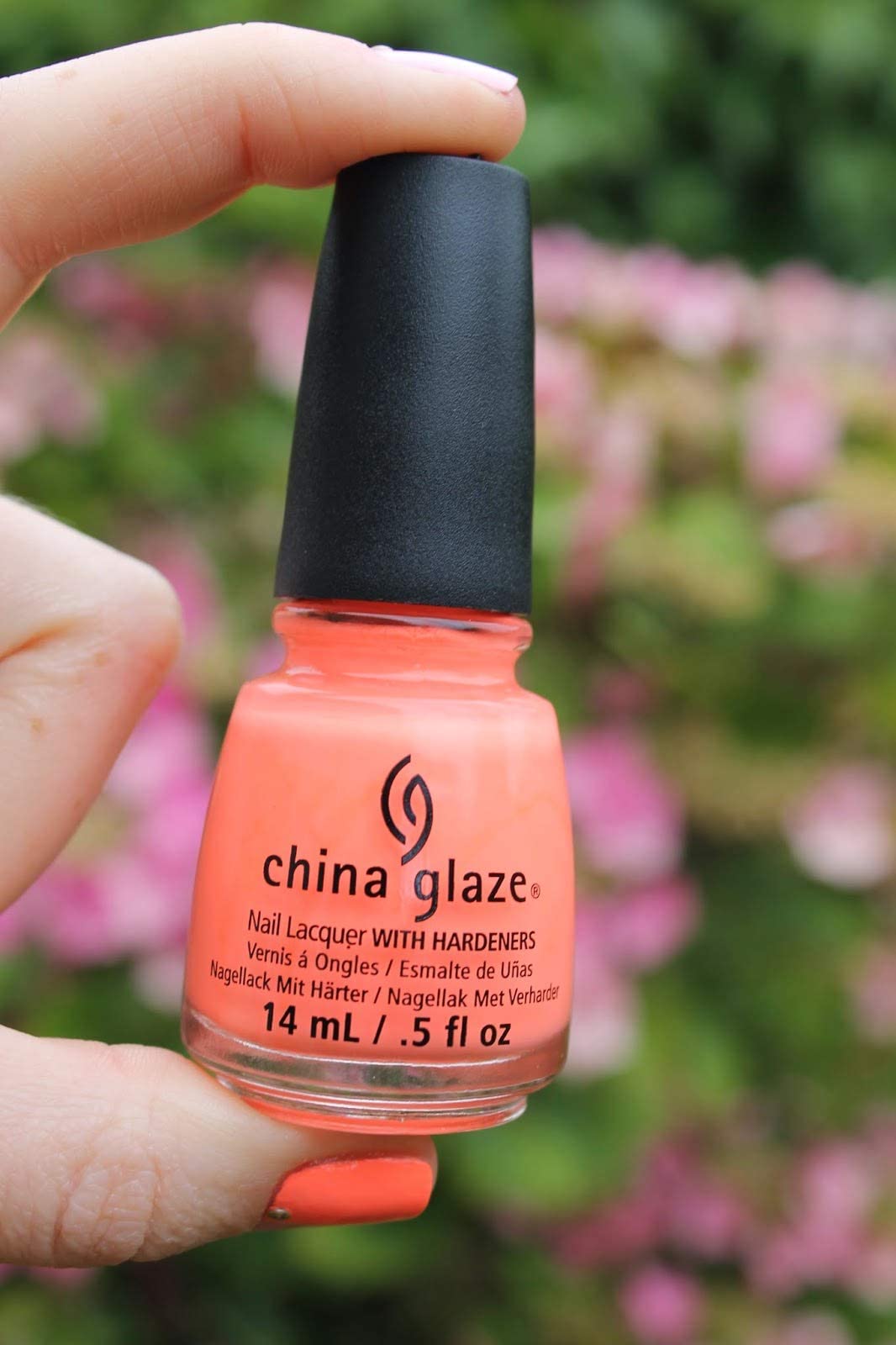 Fingers holding the coral nail polish bottle in front of pink hydrangeas