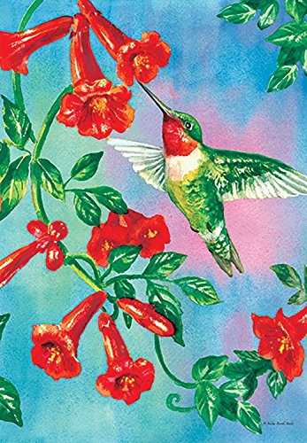 Flat view of the hummingbird and red trumpet vine flag