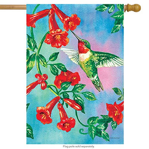 House flag with a hummingbird at red trumpet vine flowers on a blue sky, on a wooden pole