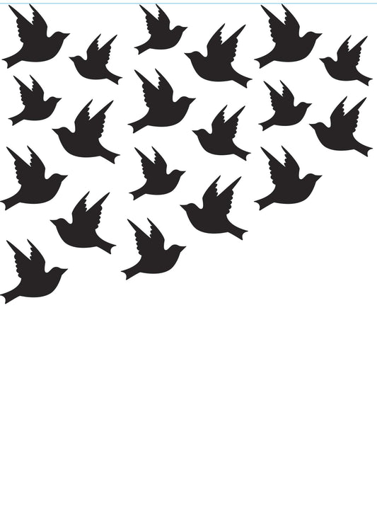 Darice Birds, 4.25 x 5.75 inches Embossing Folder, Clear