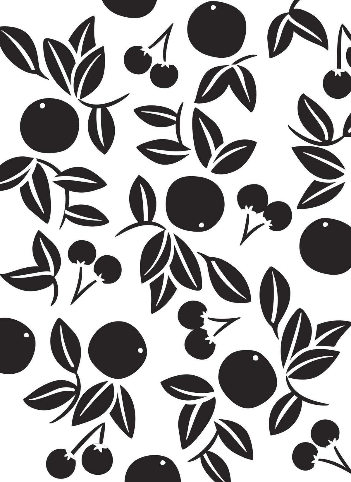 Darice 30032600 Craft Ideas and Home Decors, Cherry Embossing Folder, 4.25" x 5.75", 1ct