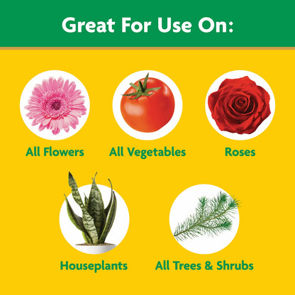 Miracle-Gro Water Soluble All Purpose Plant Food - Fertilizer For All Indoor or Outdoor Plants including Roses, Flowers, Vegetables, Houseplants, Trees, and Shrubs, 5.5 lbs.