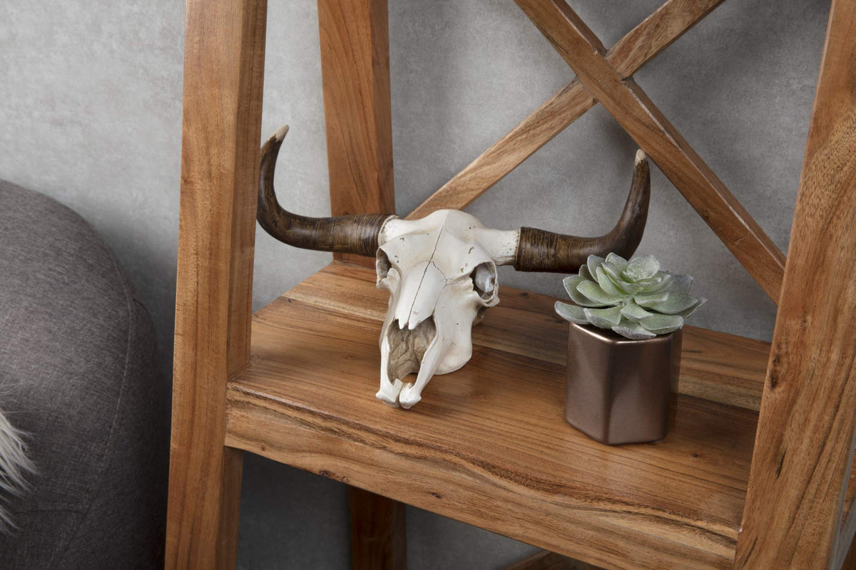 Faux steer skull and a succulent in a bronze painted pot on a wooden shelf